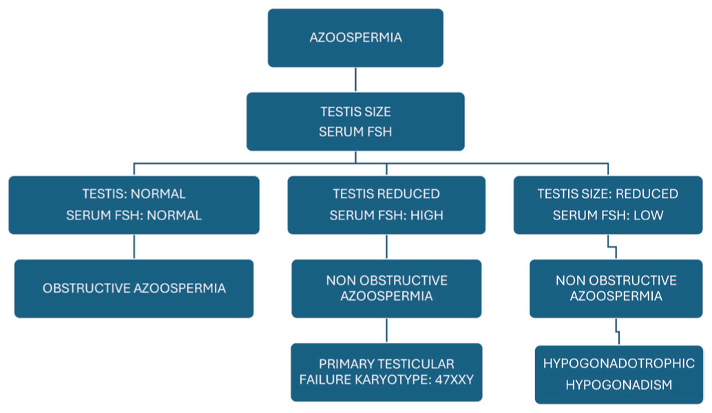 Free Testosterone and Percentage Free Testosterone are Superior Marker than Total Testosterone in Evaluation of Male Infertility—A Case-control Study