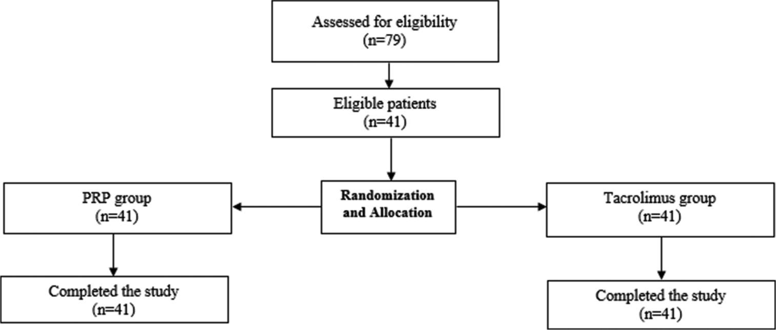 Triple combination of fractional carbon dioxide laser, 308-nm excimer lamp, and platelet-rich plasma in refractory vitiligo: A randomized split-body comparative study