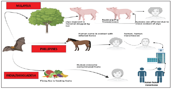 Understanding the dynamics of nipah virus (NiV) transmission and outbreaks in India from Kerala’s perspective