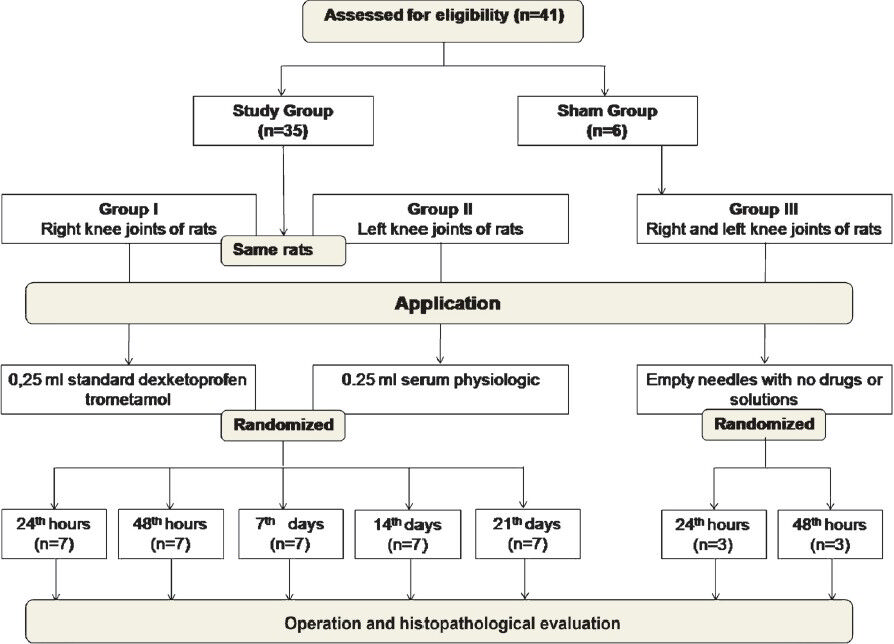 Evaluation of the effects of dexketoprofen trometamol on knee joınt: an in vivo & in vitro study