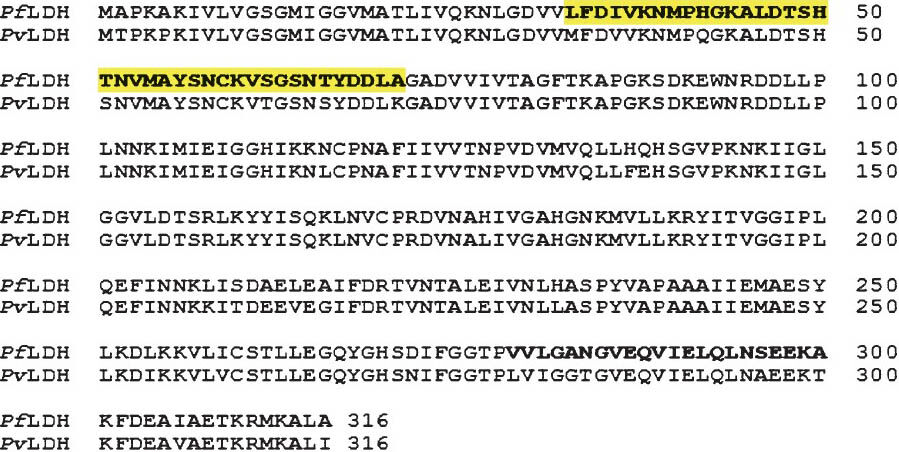 Detection of histidine rich protein & lactate dehydrogenase of Plasmodium falciparum in malaria patients by sandwich ELISA using in-house reagents