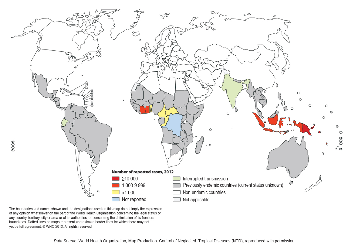Eradicating successfully yaws from India: The strategy & global lessons