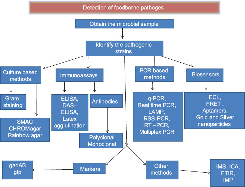 A review on detection methods used for foodborne pathogens