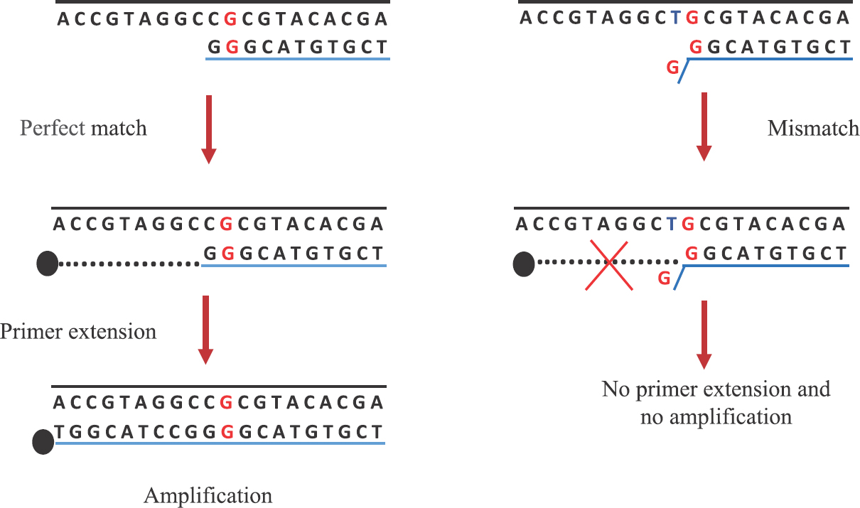 Mismatch amplification mutation assay-polymerase chain reaction: A method of detecting fluoroquinolone resistance mechanism in bacterial pathogens