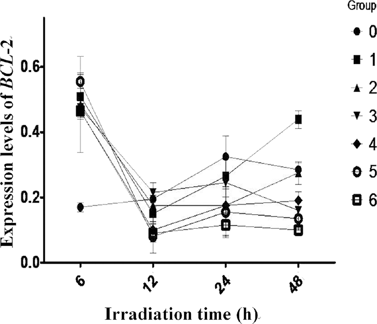 Apoptosis gene reprograming of human peripheral blood mononuclear cells induced by radioiodine-131 (131I) irradiation