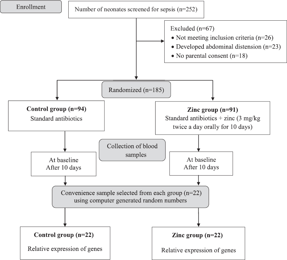 Effect of zinc supplementation on relative expression of immune response genes in neonates with sepsis: A preliminary study
