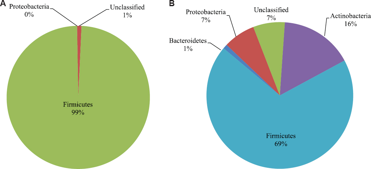 Vaginal & gut microbiota diversity in pregnant women with bacterial vaginosis & effect of oral probiotics: An exploratory study