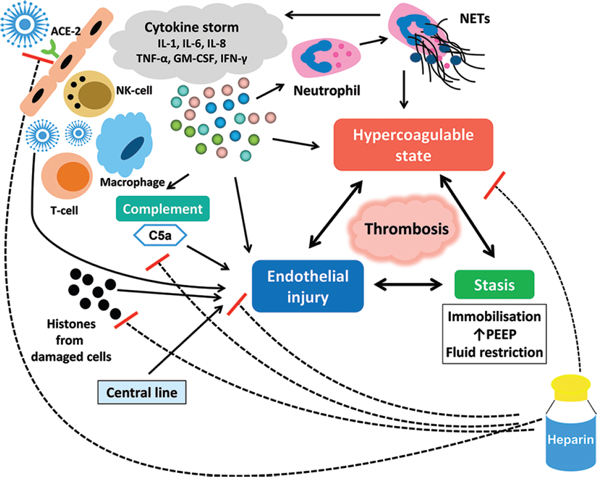 Coagulation abnormalities & thromboprophylaxis in COVID-19