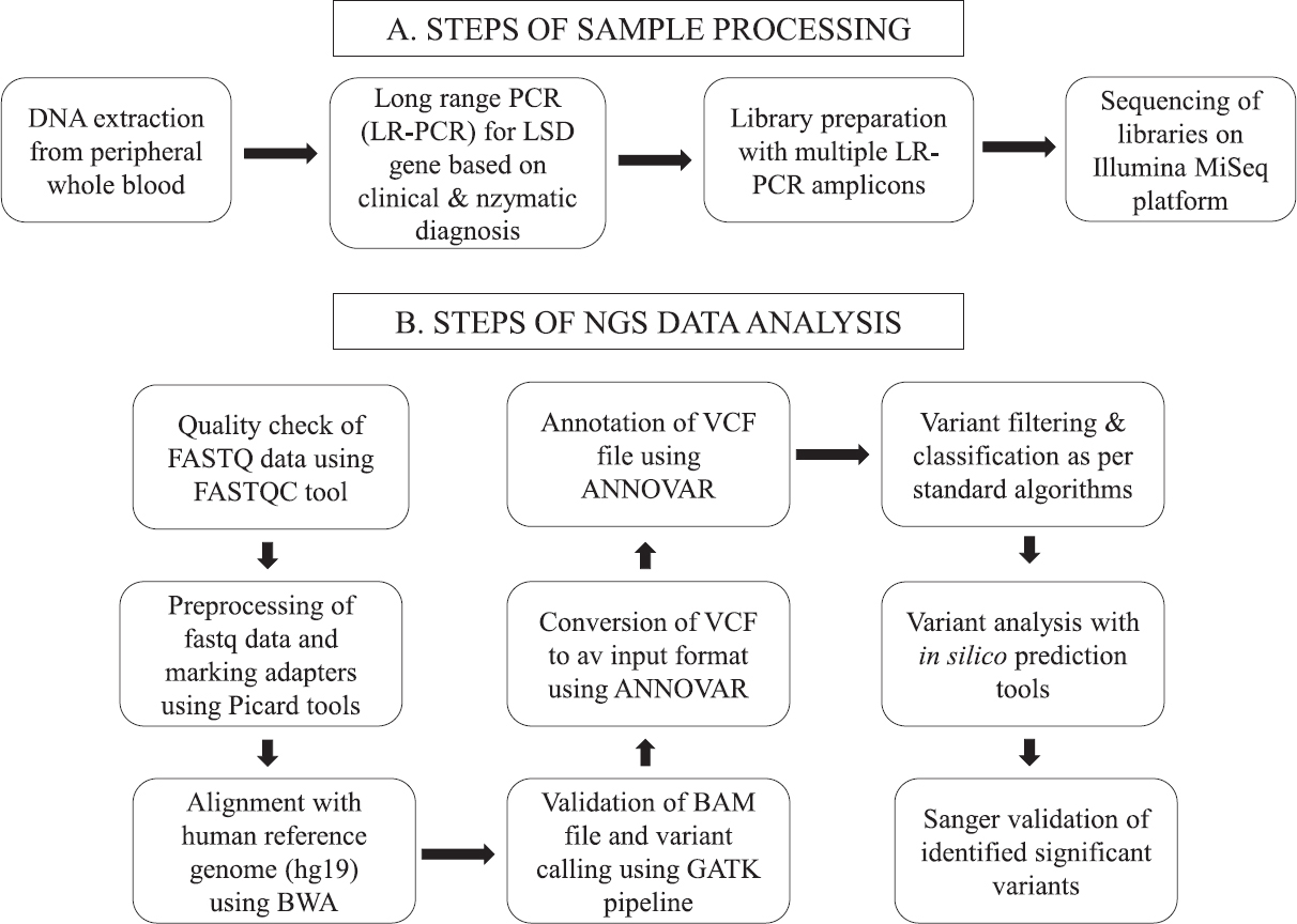 Long-range PCR amplification-based targeted enrichment & next generation sequencing: A cost-effective testing strategy for lysosomal storage disorders