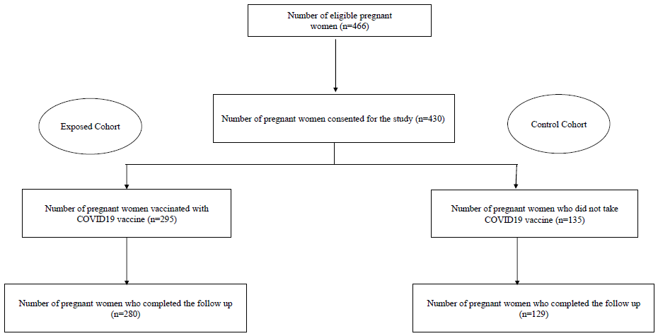 Effect of the COVID-19 vaccination on feto-maternal outcomes: A prospective cohort study among Indian pregnant women