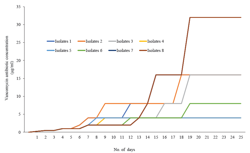 Presence of multiple van genes among glycopeptide non-susceptible Staphylococcus aureus exhibiting in vitro MIC creep phenomenon: A study from north-east India