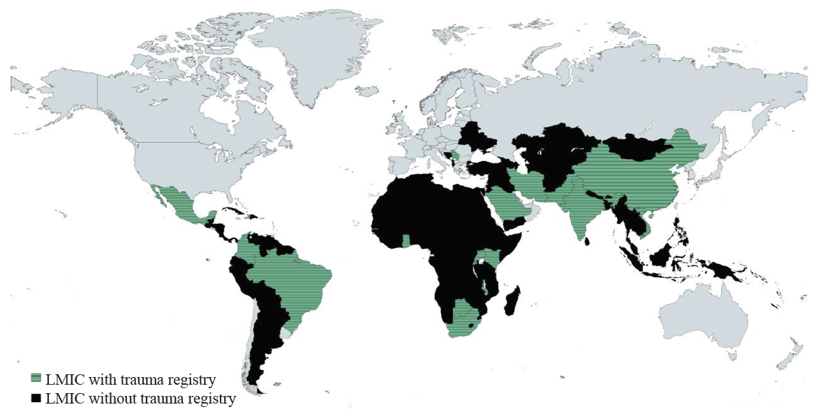 Current status of implementation of trauma registries’ in LMICs & facilitators to implementation barriers: A literature review & consultation