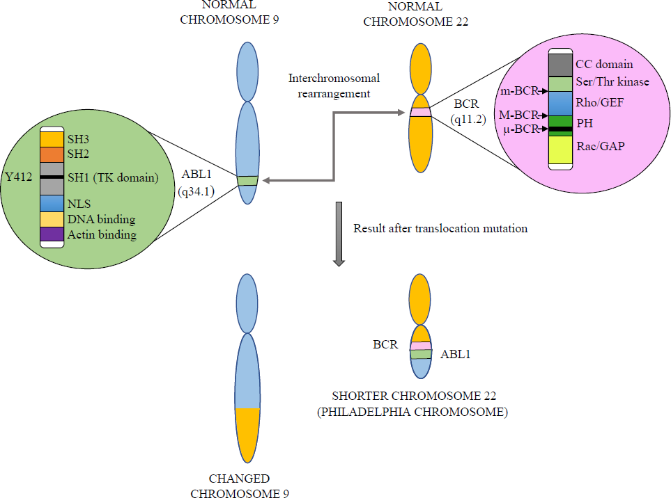 Insights into existing and futuristic treatment approach for chronic myeloid leukaemia