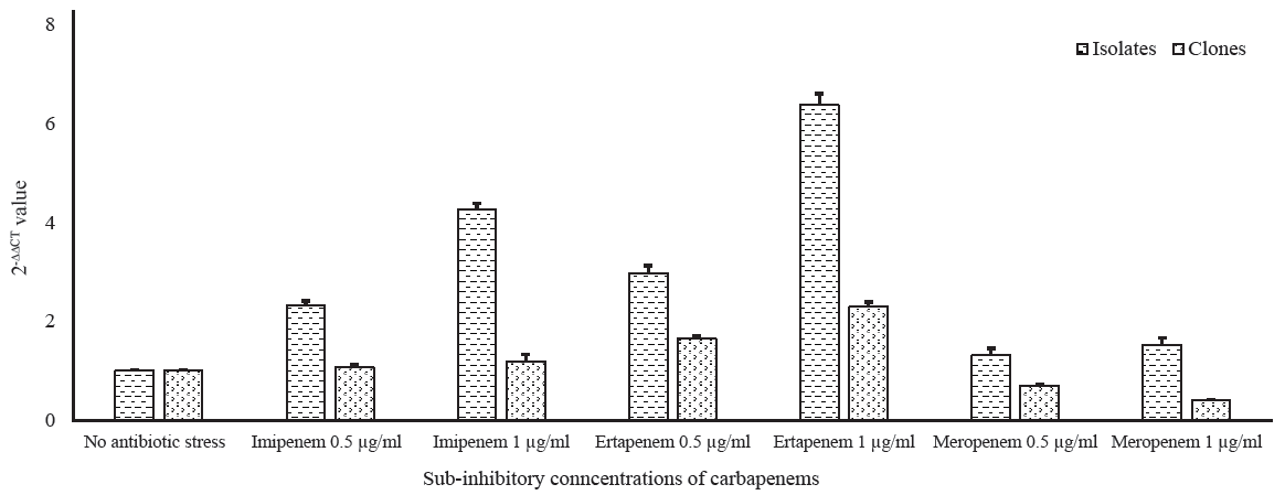 Characterization of blaOXA-232 carrying carbapenem-resistant Klebsiella  pneumoniae (CRKP) & their expression profiles under selective carbapenem pressure: An in-depth study from India