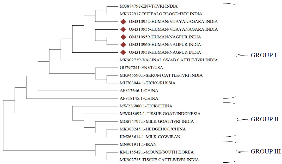 Acute Q fever in individuals with acute febrile illness & exposure to farm animals: Clinical manifestations & diagnostic approaches