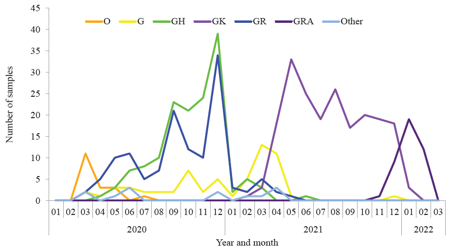 Phylo-geo haplotype network-based characterization of SARS-CoV-2 strains circulating in India (2020-2022)