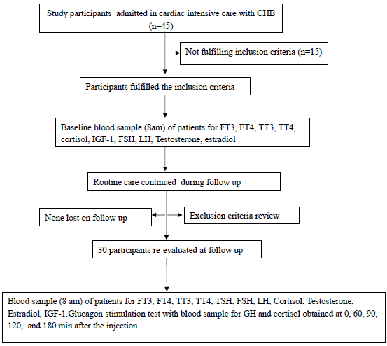 Anterior pituitary hormone dysfunction among individuals with complete heart block requiring pacemaker