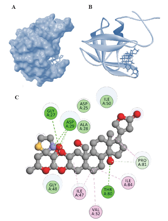 Identification of steroidal cardenolides from Calotropis procera as novel HIV-1 PR inhibitors: A molecular docking & molecular dynamics simulation study