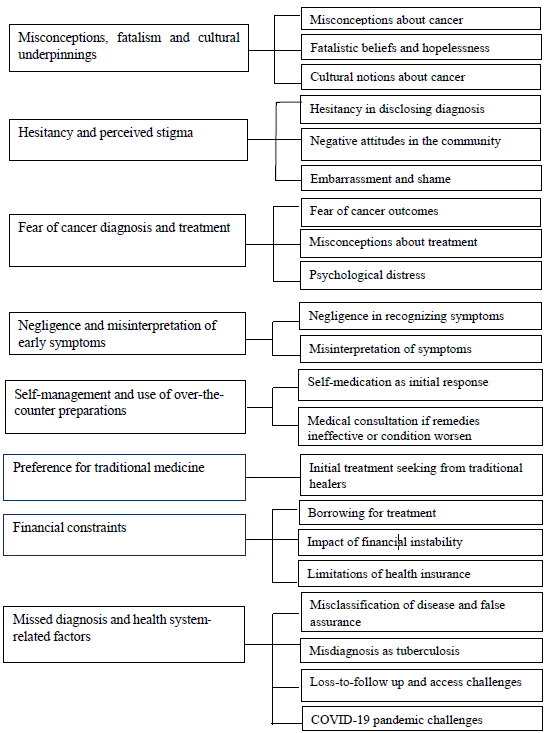 Factors influencing delayed cancer health seeking in Meghalaya, Northeast India: A qualitative study