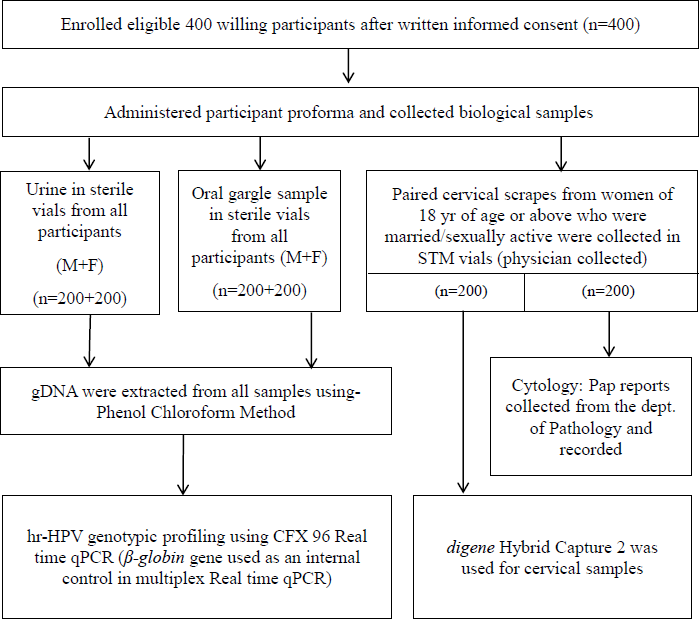 Evaluating different samples & techniques for hr-HPV DNA genotyping to improve the efficiency of risk profiling for oral & cervical cancers in Sikkim, India