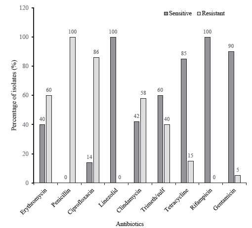 Methicillin-resistant Staphylococcus aureus (MRSA) carriage among the critical care personnel in a tertiary care hospital in Sikkim: An observational study