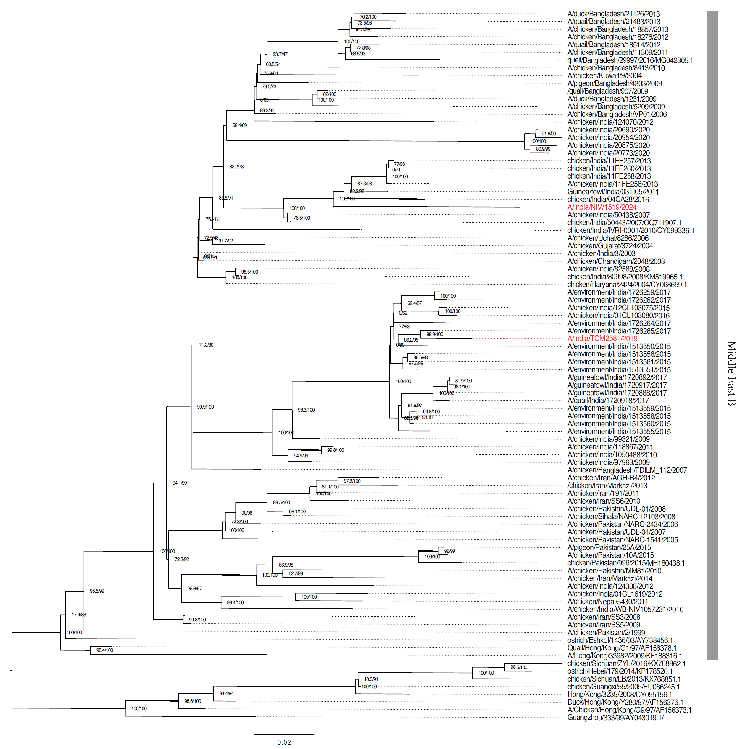 Identification & genetic & virological characterisation of a human case of avian influenza A (H9N2) virus from Eastern India