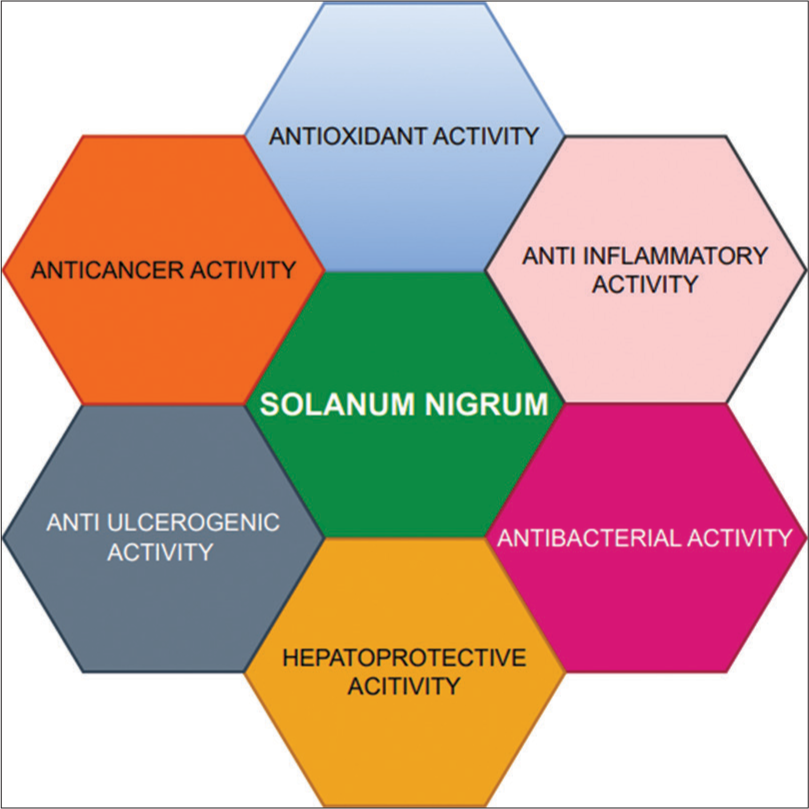 Role of Solanum nigrum in the apoptotic and proliferative mechanism – Novel insights in therapeutic strategy of oral cancer