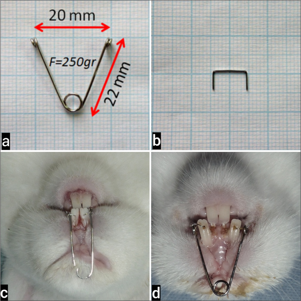 The effect of platelet-rich plasma on midpalatal suture in rapid maxillary expansion: An experimental study